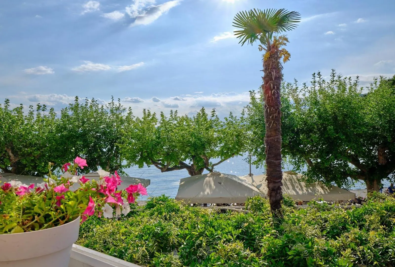 ***  Hotel Conca D'Oro ***S Garda  Italia