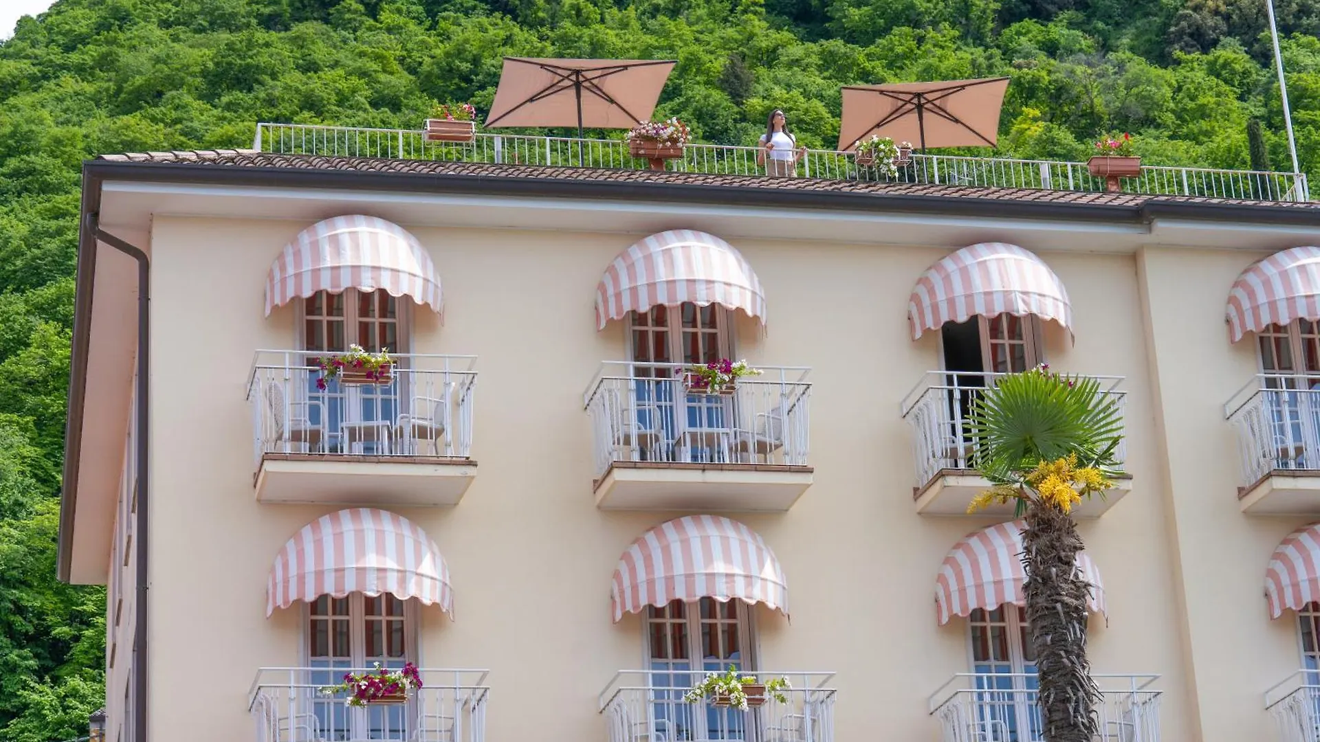 Hotel Conca D'Oro ***S Garda  Garda (Verona)